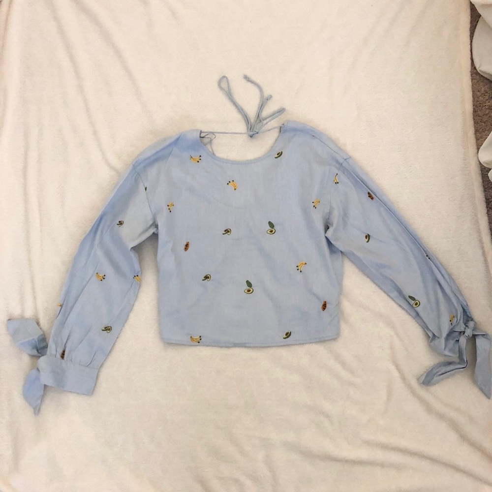 Zara XS embroidered fruit top